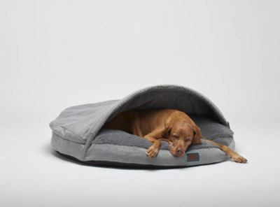 20190621-snuggler-dreamer34062