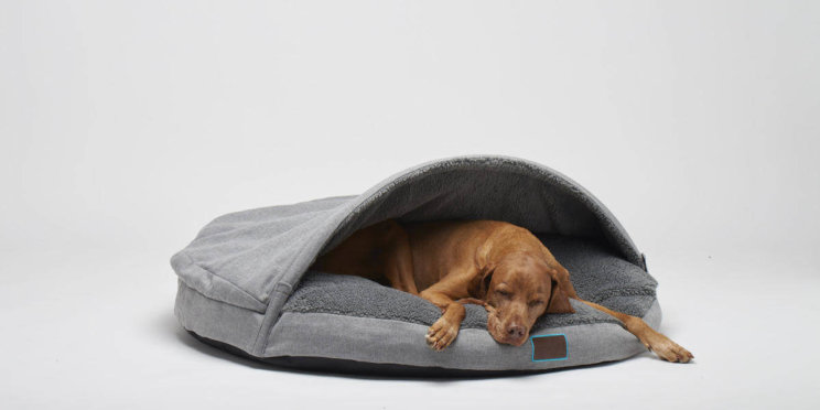 20190621-snuggler-dreamer34062