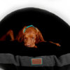Snuggle Dreamer DandyDenimXL Anthrazit Innenfellfarbe Schwarz