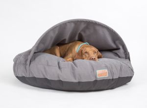 snuggle dreamer - Model Fresh Cave | Color: Anthrazite