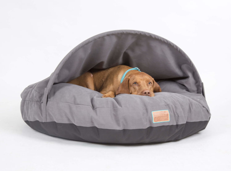 snuggle dreamer - Model Fresh Cave | Color: Anthrazite