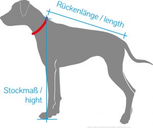 rueckenlaenge_stockmass