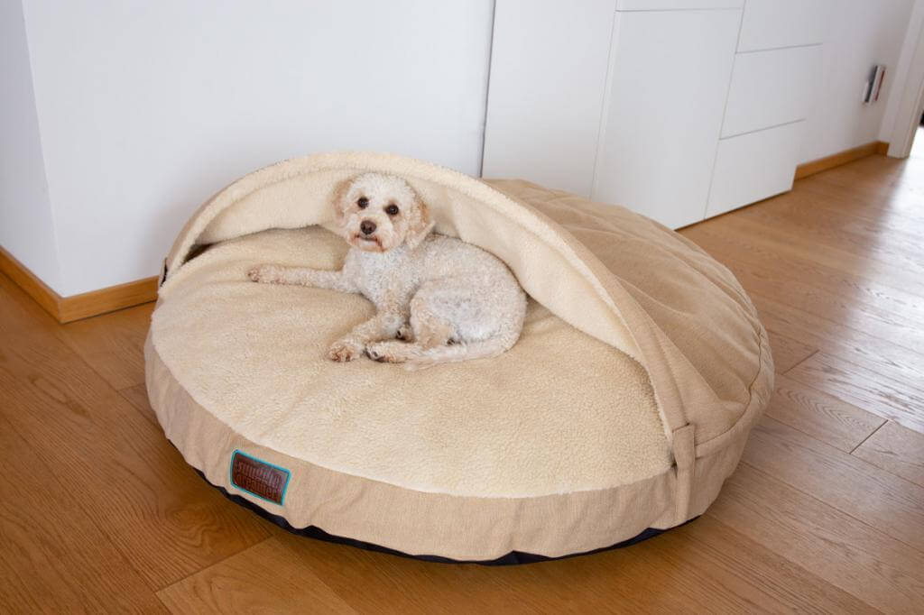 DandyDenim-Champagne_snuggle-dreamer_3
