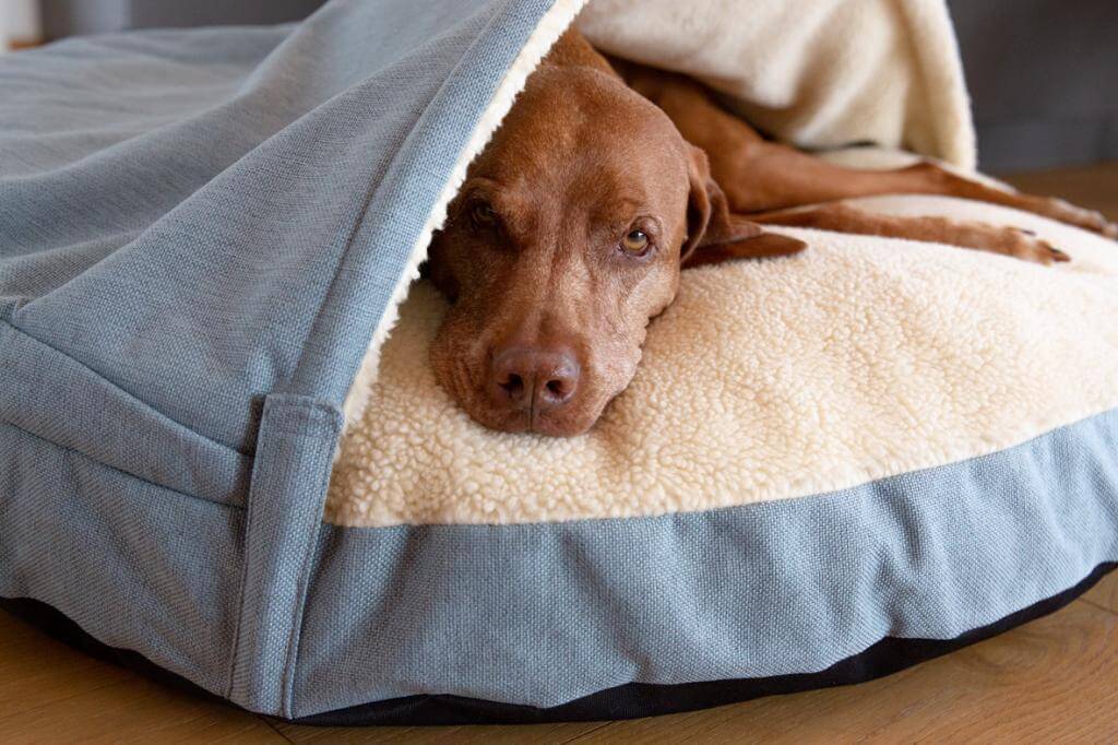 Cozy dog ​​caves and dog cushions | snuggle dreamer