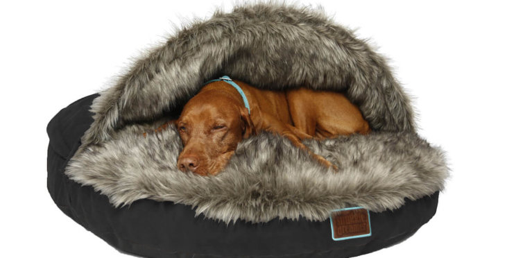 Snuggle Dreamer CaptainFluffy Black