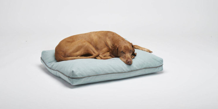 dellbar-by-snuggle-dreamer-kissen-ortho-mint_2