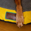 YelloMello-snuggle-dreamer-logo