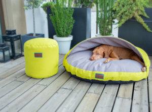 snuggle-dreamer-outdoor-hundehoehle_kokolores-lime-grey-hocker-Siton-Lime