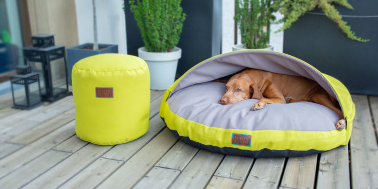 snuggle-dreamer-outdoor-hundehoehle_kokolores-lime-grey-hocker-Siton-Lime