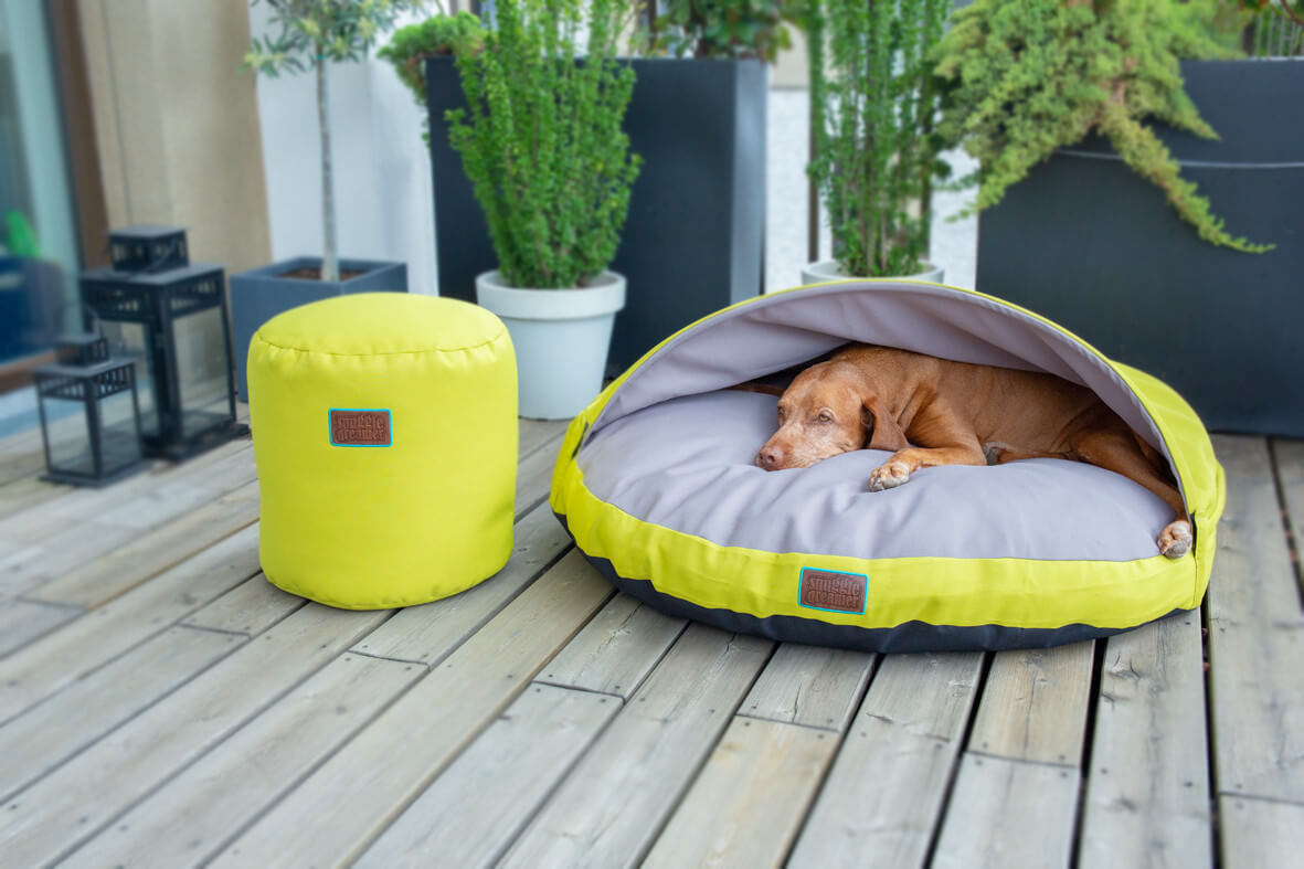 snuggle-dreamer-outdoor-hundehoehle_kokolores-lime-grey-hocker-Siton-Lime
