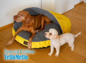 snuggle-dreamer-yellobello-edition