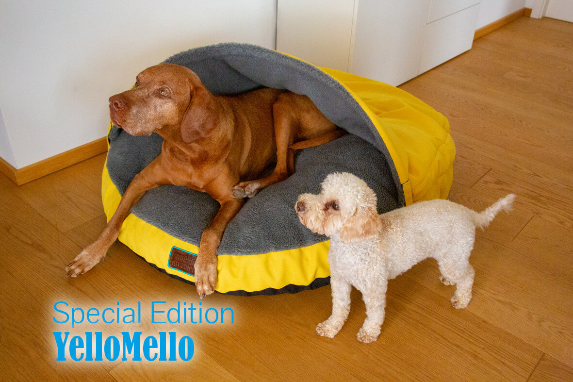 snuggle-reamer-yellobello-eldono