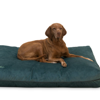 Dellbar Ortho Hundekissen