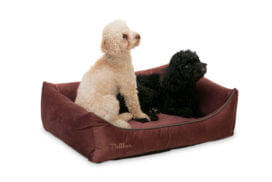 dellbar-dogbed-berry