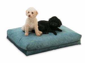 Hundekissen