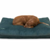 dellbar-dogpillow-Aqua