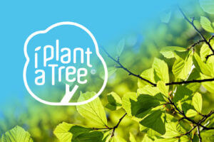 2-3_Engagement_iplantatree