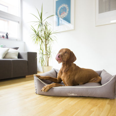 Dellbar Hundekorb SALE