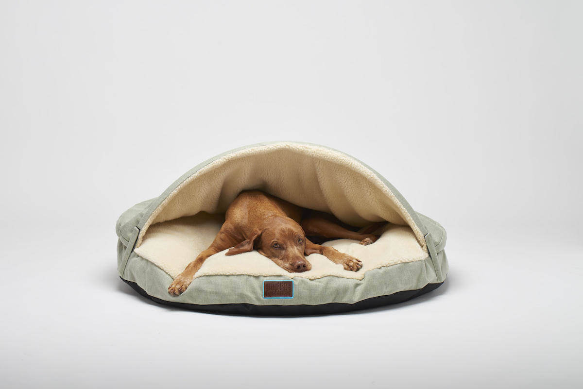 Snuggle bed hund store