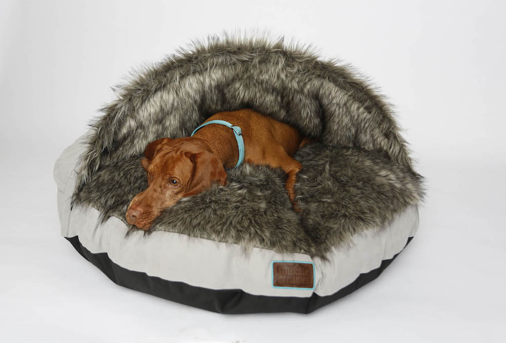 CaptainFluffy dog cave snuggle dreamer