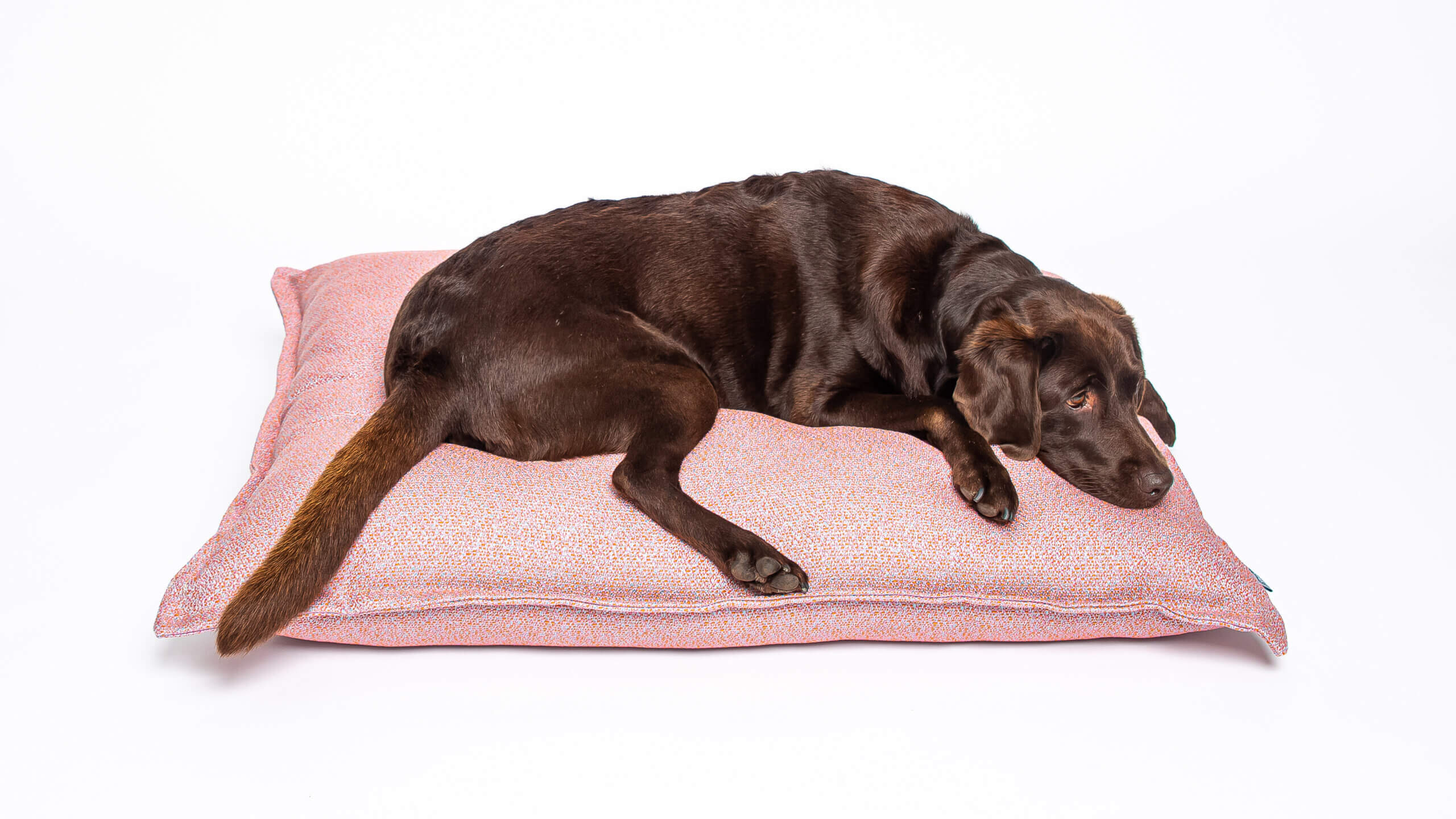 Coussin Chien Rose  LePalaisduCoussin®