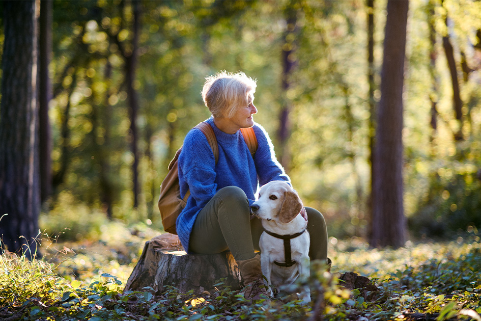 iStock-1205269577_630px