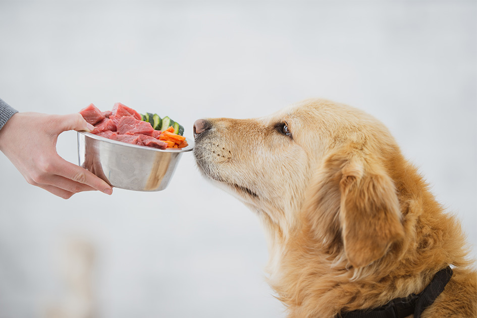 iStock-1299202341_630px