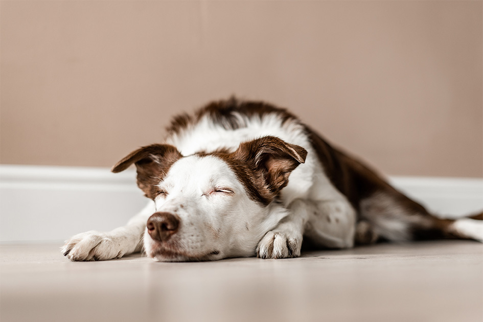 iStock-1067346946_630px