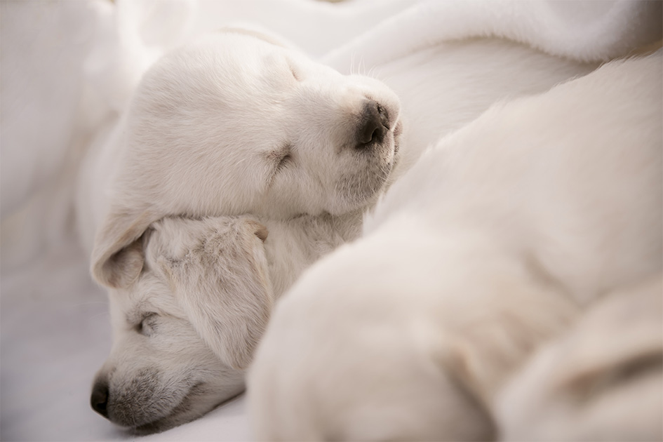 iStock-1210074876_630px