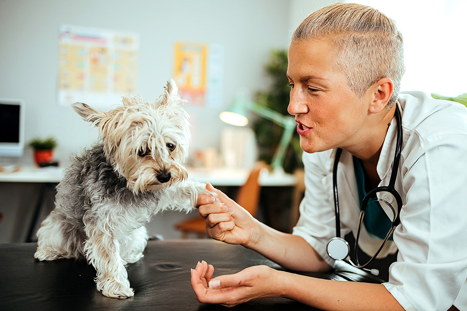 iStock-1519288600-630px