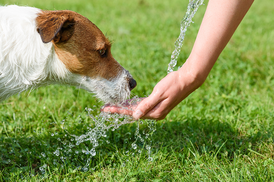 iStock-593322566-630px