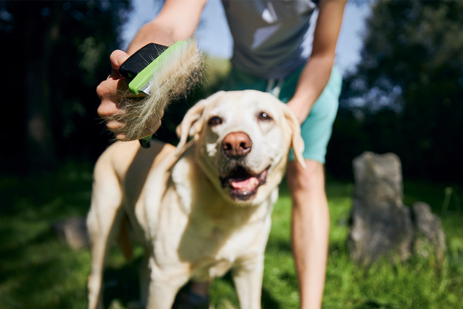 iStock-1250042855_630px