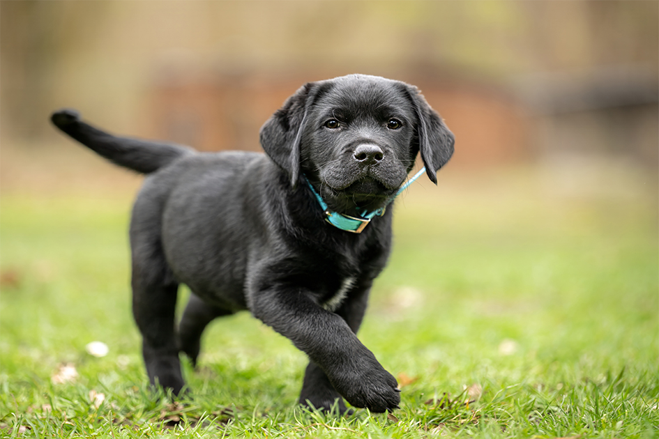 iStock-2109202034_630px