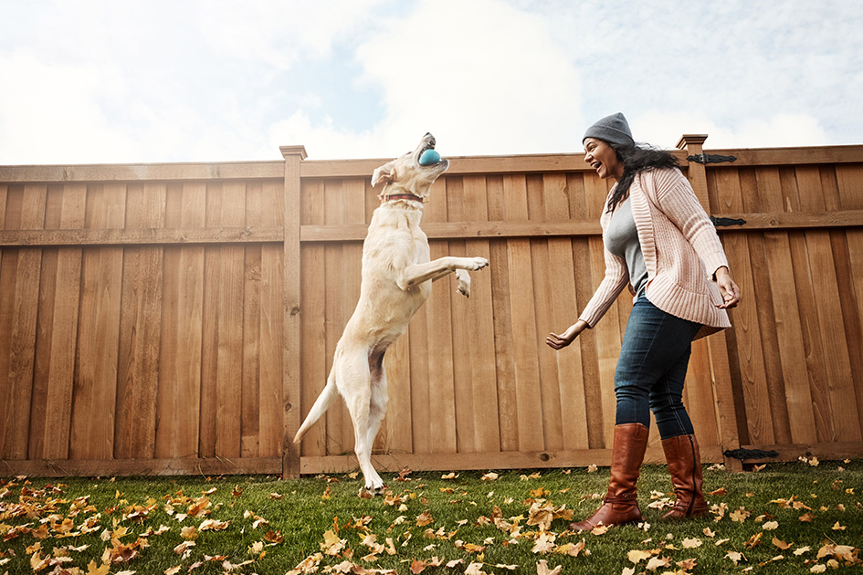iStock-932183074_630px